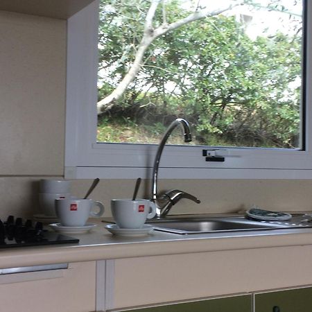 Camping Le Soline Casciano Di Murlo Quarto foto