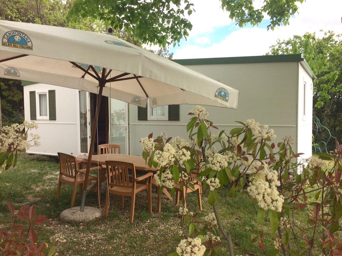 Camping Le Soline Casciano Di Murlo Quarto foto